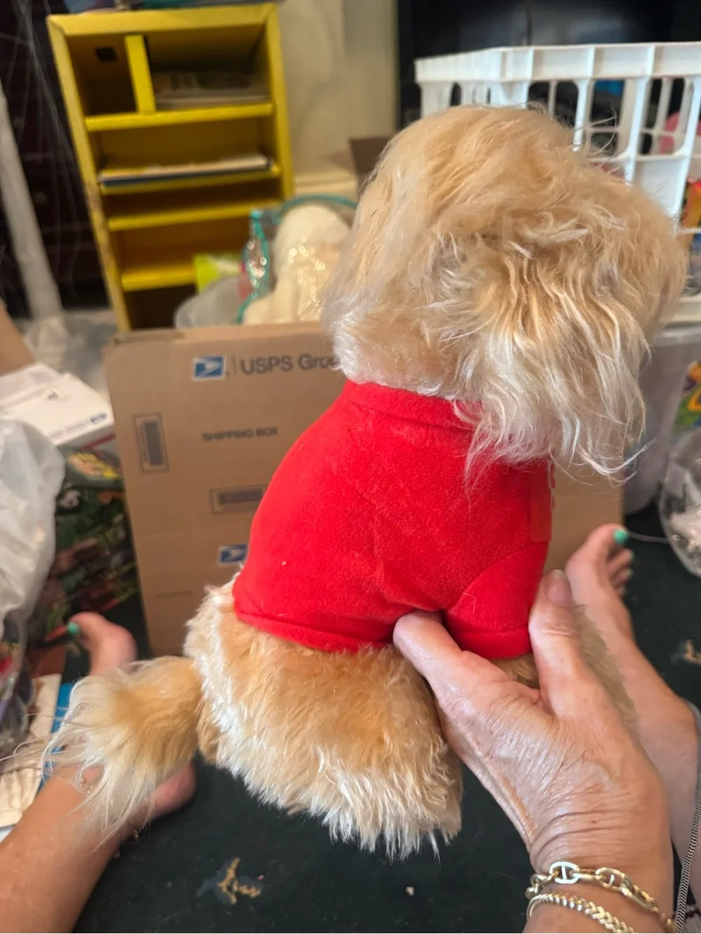 Sandy from Annie knicker bocker Plush Dog Toy